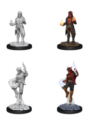 Tiefling Sorcerer - Male 90058 - D&D Nolzur's Marvelous Miniatures